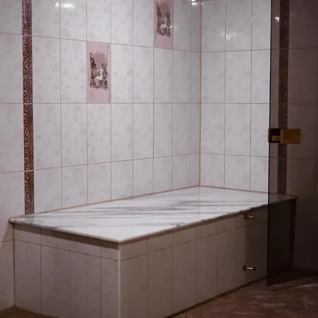 лайт хаус буковель Holiday home Palyanytsya
